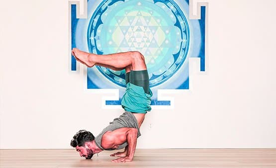 Practitioner in a forearm-supported arm balance